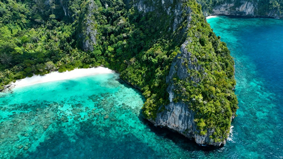 Discover the Pulsating Heart of Australia in Its Ancient Rainforest Realm