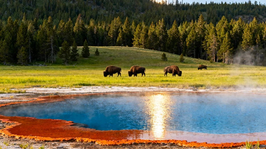 Wandering across Yellowstone’s geothermal fields, alpine valleys and wild habitats to uncover little-known joyful travel moments off standard tourist routes