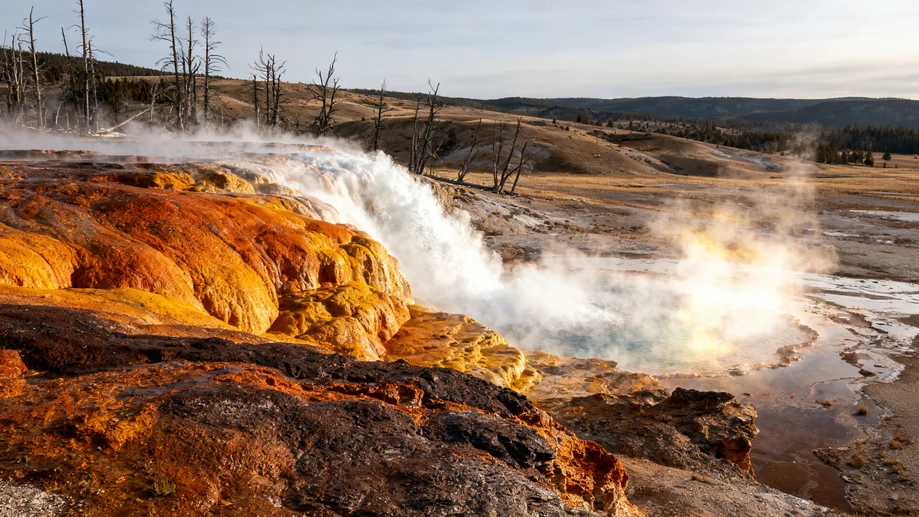 Embark on an Unforgettable Journey to Yellowstone's Wild Heart