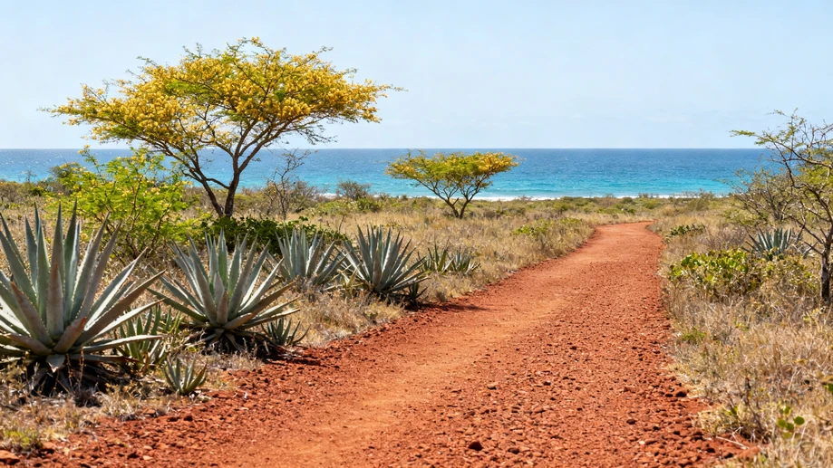 Uncover Lesser-Known Wilderness Gems and Unfiltered Local Experiences Across Serene Stretches of Coastal East Africa